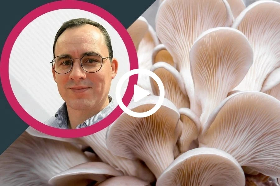 A man's face next to a mushroom.
